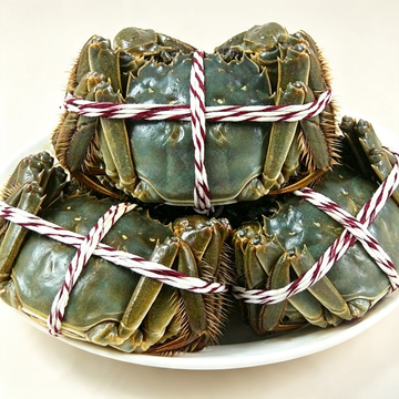Live Crabs