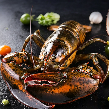 Lobsters